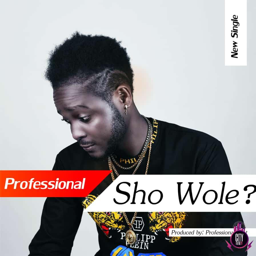Professional Beat — Sho Wole