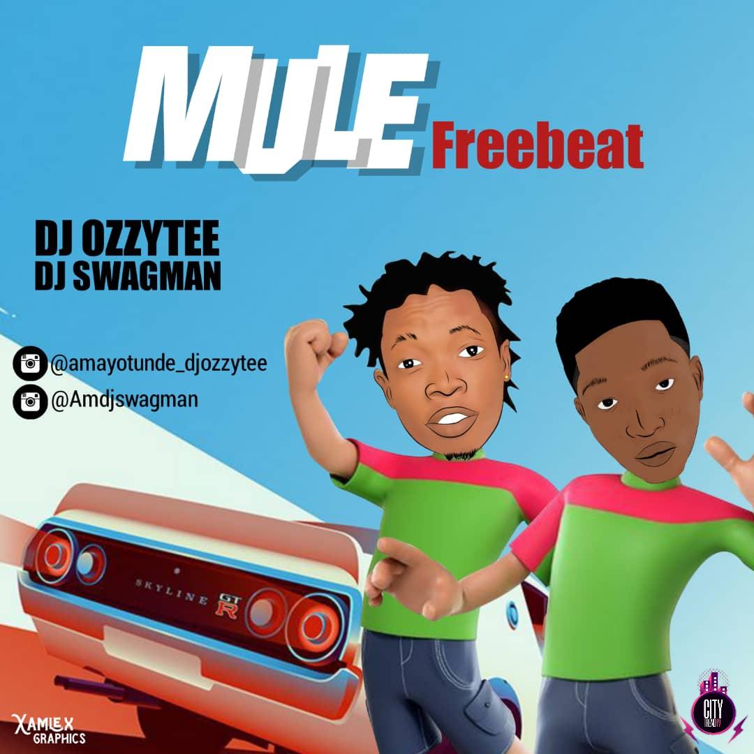 DJ Ozzytee ft. DJ Swagman — Mule Beat Instrumental