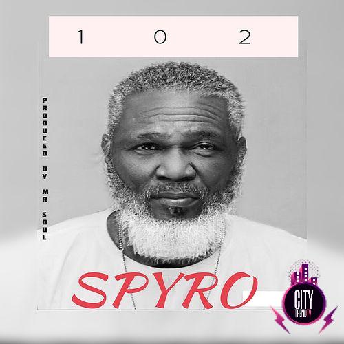 Spyro – 102