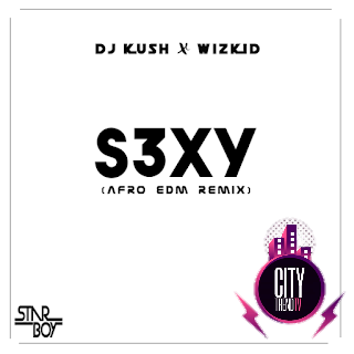 DJ Kush x Wizkid — S3XY Afro EDM