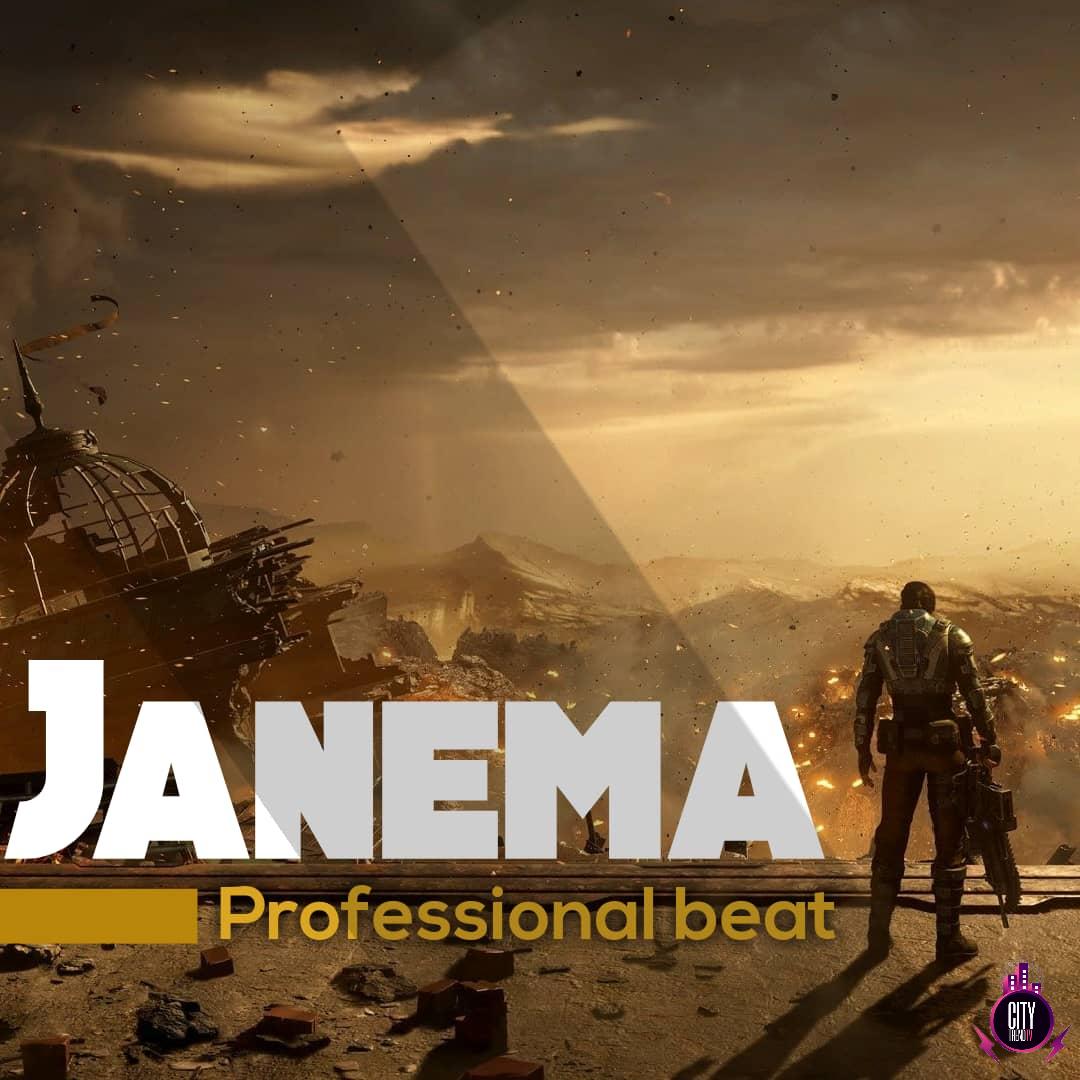 Professional Beatz — Janema Instrumental