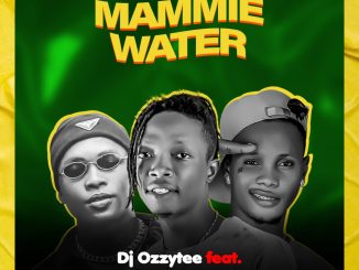 DJ Ozzytee ft. Dapop DTop — Mammie Water