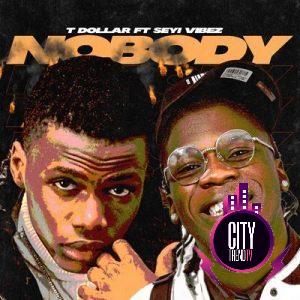 T Dollar ft. Seyi Vibez — Nobody