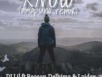 DJ Lil ft. Reason Delhima Laidex — Know Amapiano Remix