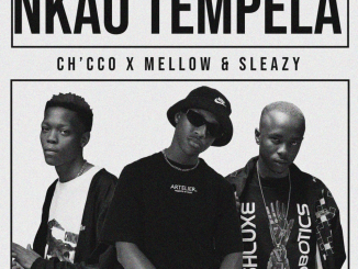 Chicco Fakelove — Nkao Tempela ft. Mellow Sleazy