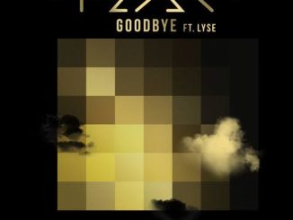 Feder — Goodbye Vijay Sofia Zlatko Remix