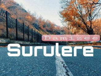 Damizee — Surulere