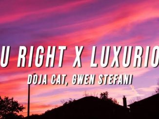Doja Cat Gwen Stefani — You Right X Luxurious TikTok Mashup