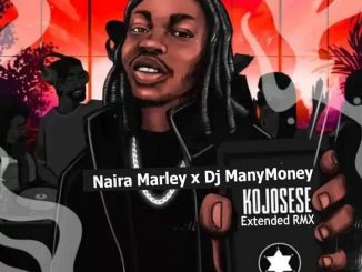Naira Marley DJ ManyMoney — Kojosese Extended Remix