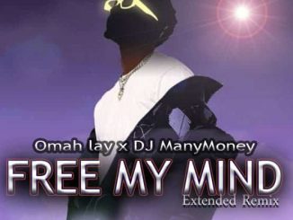 Omah Lay x DJ ManyMoney — Free My Mind Extended Remix