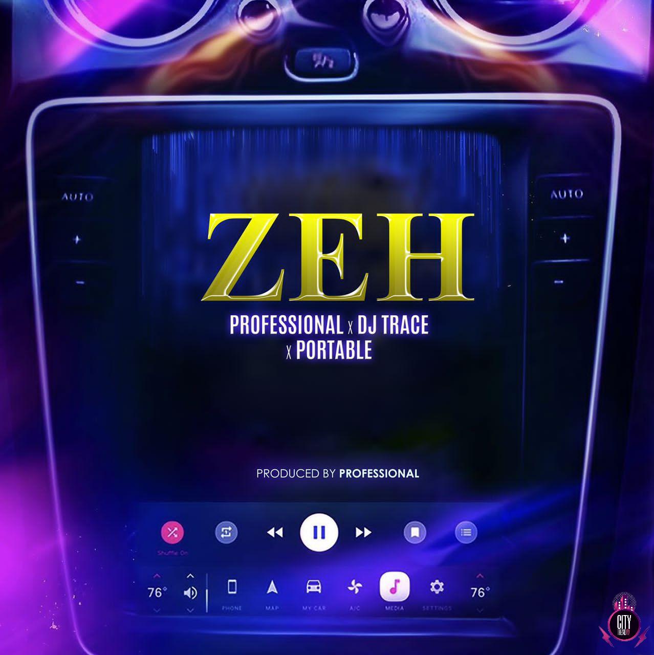 Professional x DJ Trace x Portable — ZEH
