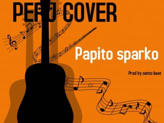 Papito Sparko — Peru Cover
