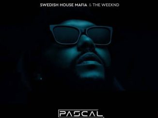 Swedish House Mafia The Weeknd — Moth To A Flame Extended Mix