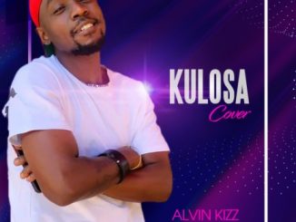 Alvin Kizz — Kulosa Cover