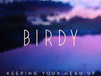Birdy — Keeping Your Head Up Don Diablo Remix