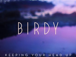 Birdy — Keeping Your Head Up Jonas Blue Remix