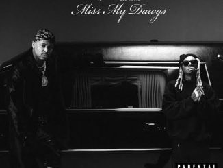 YG Lil Wayne — Miss My Dawgs