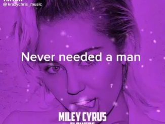 Miley Cyrus — Flowers KrazyChris Remix