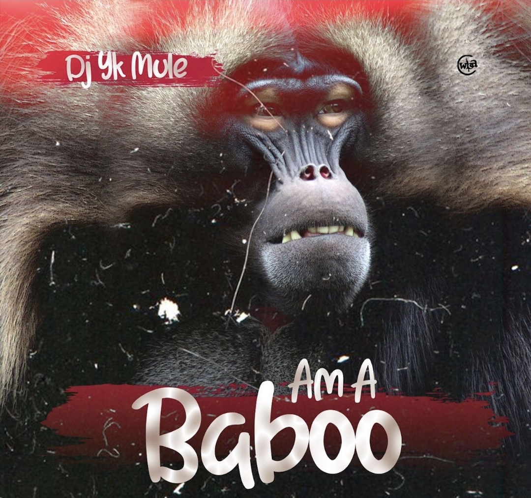 DJ Yk Mule — Am a Baboo Beat