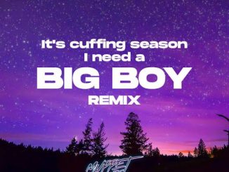 Muppet DJ — Big Boys SZA Edit