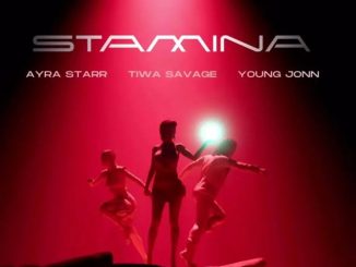 Tiwa Savage Ayra Starr Young Jonn — Stamina
