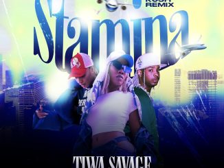 Tiwa Savage ft. Young John Ayra Star — Stamina KU3H Remix