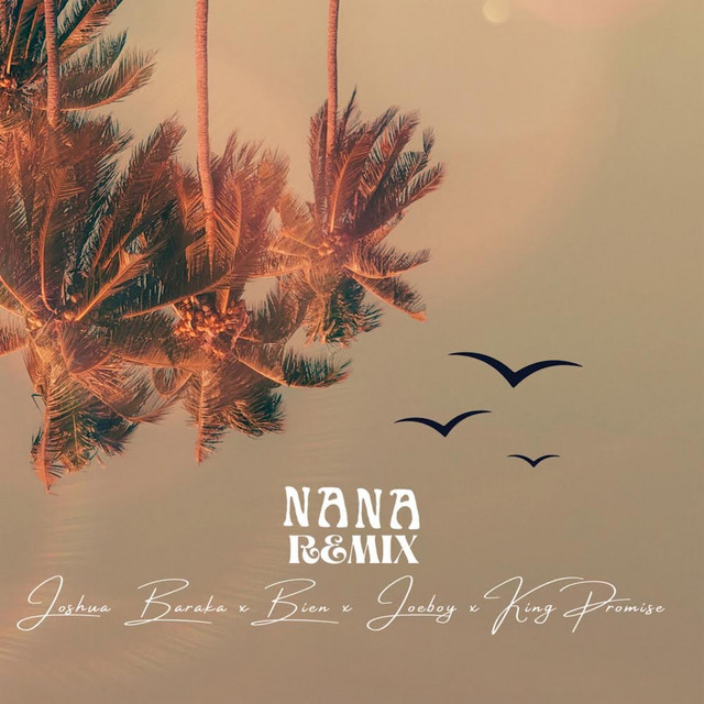 Joshua Baraka – NANA Remix ft. Joeboy King Promise BIEN