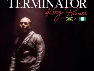 King Promise ft. Sean Paul Tiwa Savage Terminator Remix