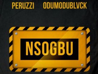 Peruzzi Nsogbu ft. Odumodublvck