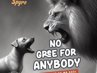 Spyro No Gree For Anybody NGFA